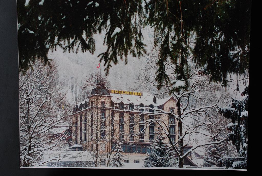 Hotel Edelweiss Ένγκελμπεργκ Εξωτερικό φωτογραφία